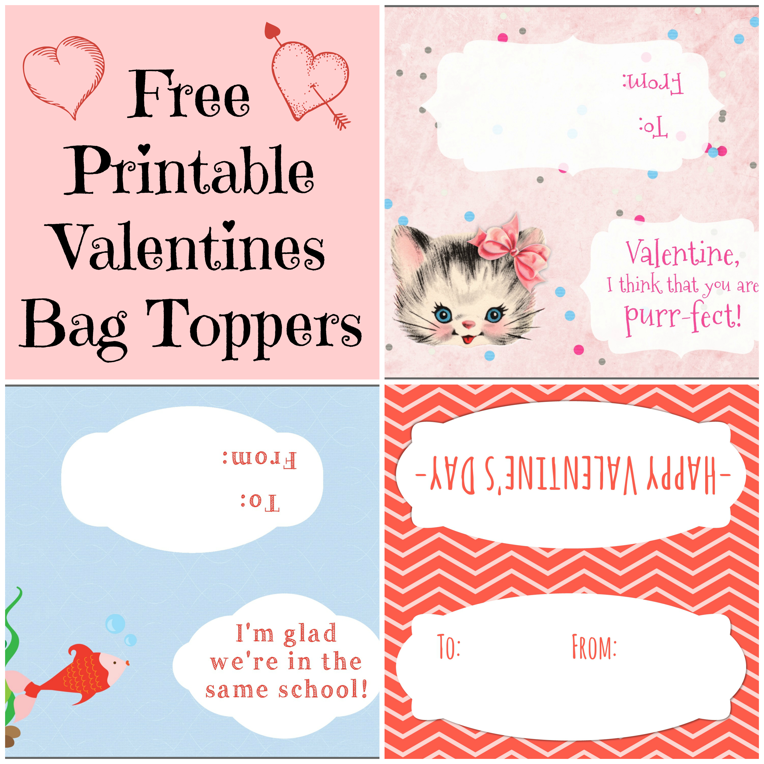 Fortune Cookie Treat Bag Topper Printable