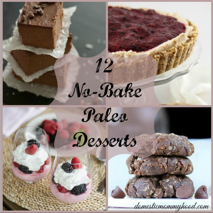 12 NoBake Paleo Desserts Domestic Mommyhood