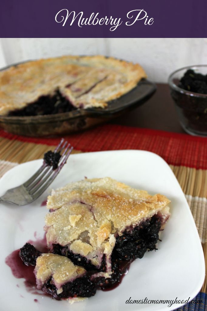 Perfect Mulberry Pie