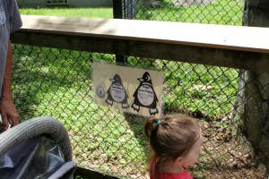 henson robinson zoo