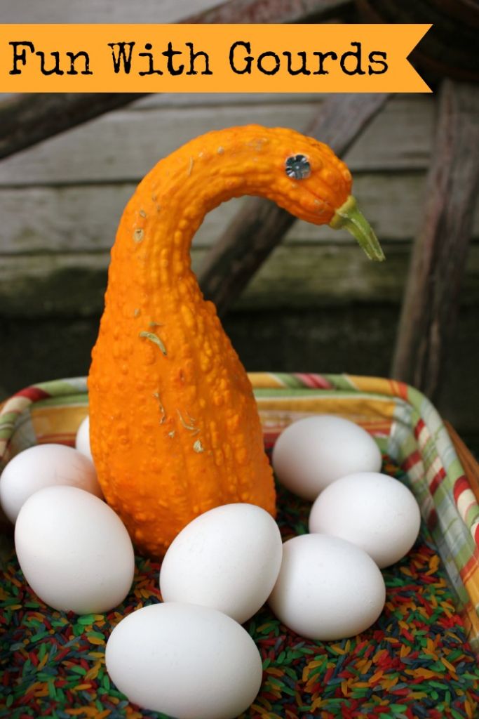 fun with gourds