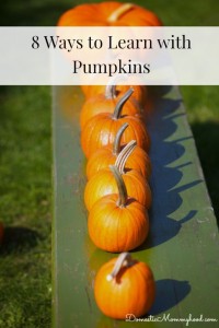 learn with pumpkins