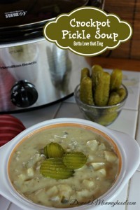crockpot pickle soup