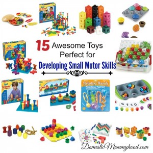 small motor development skills toys