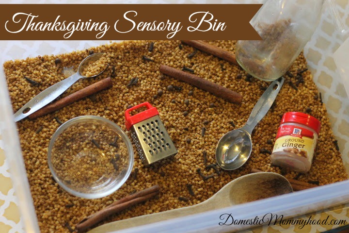 Thanksgiving Themed Sensory Bin - Domestic Mommyhood