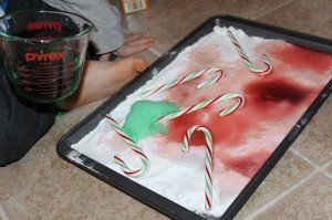 fizzing candy canes Science Experiments 
