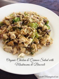 Organic Chicken & Quinoa Salad with Mushrooms & Broccoli