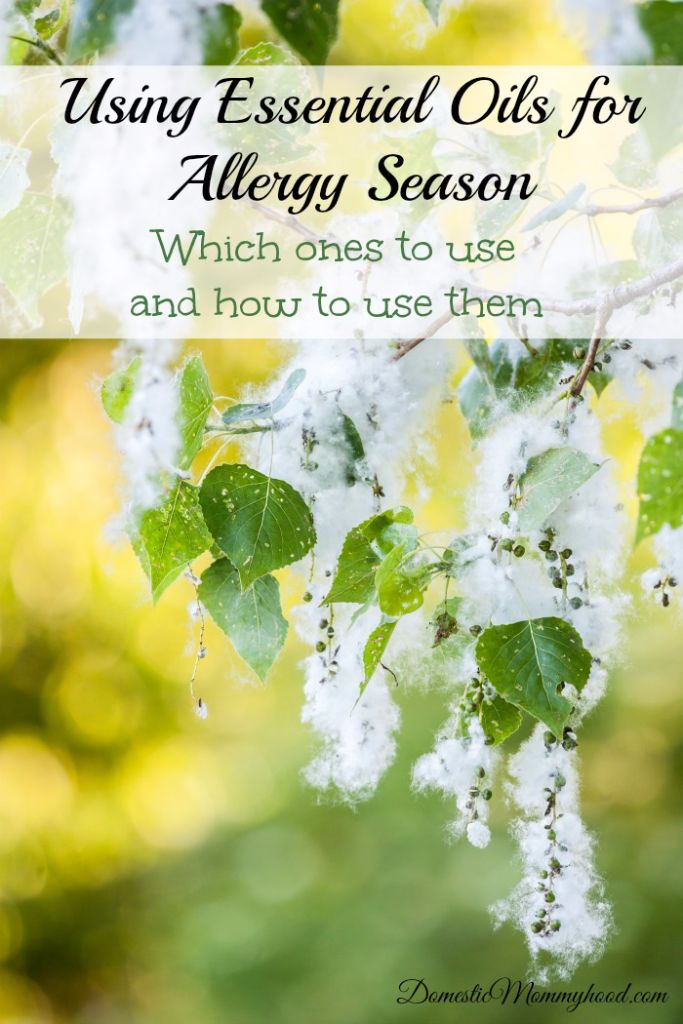 Using Essential Oils for Allergy Season 