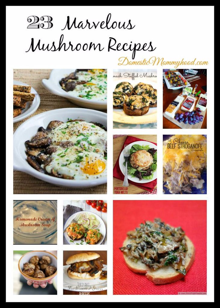 National Mushroom Month 23 Marvelous Mushroom Recipes #nationalmushroommonth