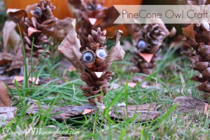 nature-craft-for-kids-pinecone-owl-kids-craft-3