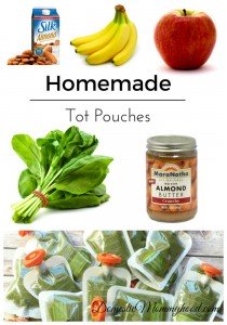 homemade tot pouches homemade food pouches