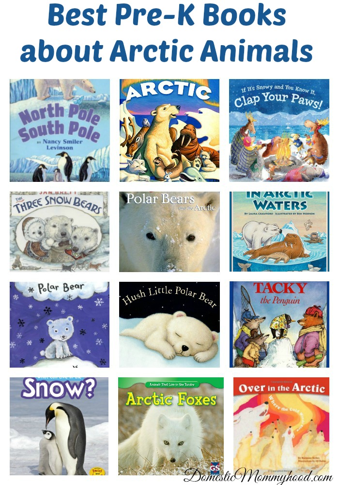 FREE} Arctic Animals Like Cold Preschool Easy Reader