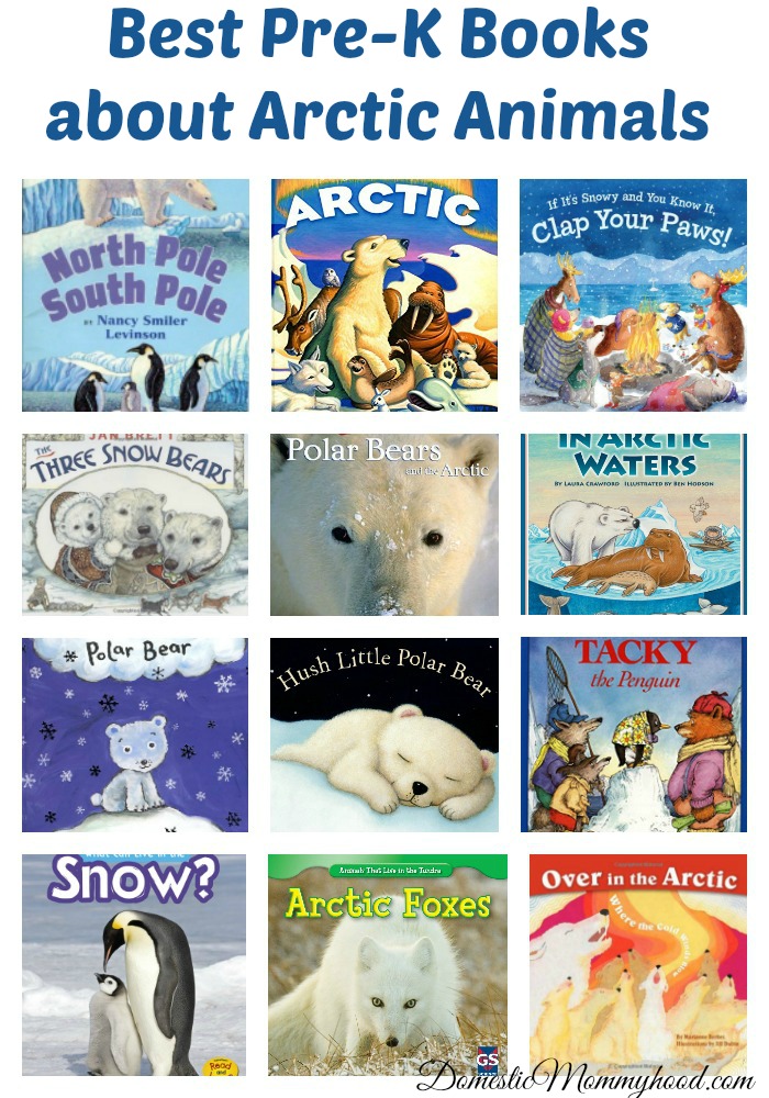 Best Pre-K Books about Arctic Animals